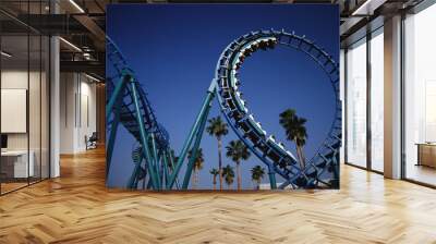 This is the roller coaster at Knott's Berry Farm in Buena Park. This ride is called Montezuma's Revenge. Wall mural