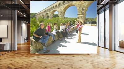 tourists at the pont du gard, nimes, france Wall mural