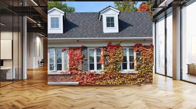 Traditional two story brick house with ivy in fall colors Wall mural