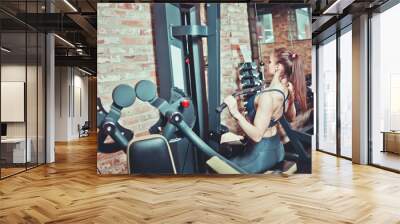 Sporty woman training her back with weight machine in a gym, sport concept, fitness exercise, back view. Wall mural