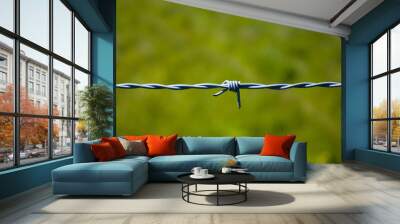 Single line of barbed wire with one knot isolated on green foliage background on a sunny day, copy space Wall mural