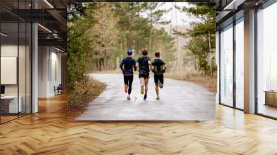 back three male athletes run race on road in park Wall mural