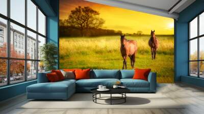 horses at sunset Wall mural