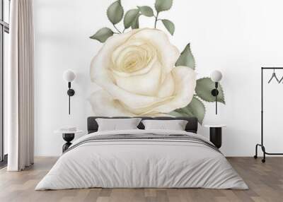 white rose isolated on white background Wall mural