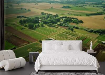 Aerial View of Large Farm Showcasing Soil Erosion Control Techniques Across Expansive Fields Wall mural