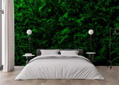 green abstract background Wall mural