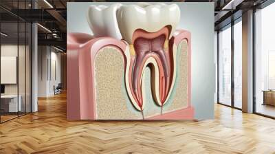 Dental Anatomy: A Comprehensive Guide to Tooth Design and Health Wall mural