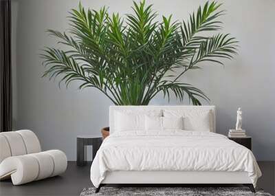 Innovative Ways to Decorate with Indoor Plants Wall mural