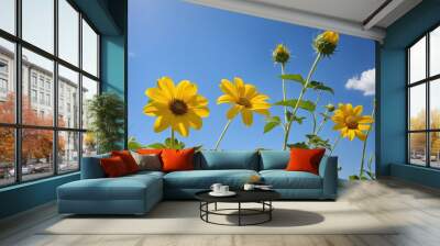 Vibrant yellow flowers blossoming under the summer sky Wall mural