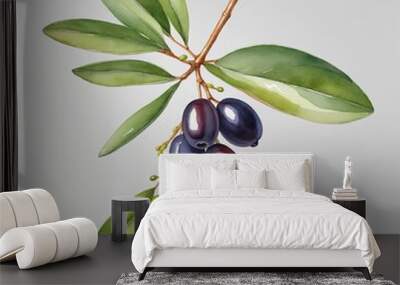 Watercolor illustration of a healthy snack option: Olive branch isolated on a white background Wall mural