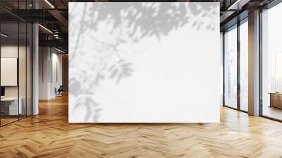 abstract shadow branch of tree with leaves on white wall background Wall mural