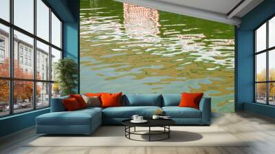 Abstract water reflection Wall mural