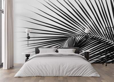 beautiful palms leaf on white background Wall mural