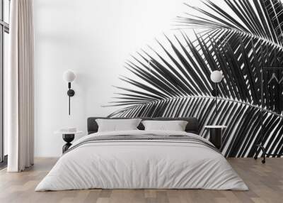 black and white coconut leaf silhouette Wall mural