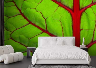 close up red vein of green leaf texture Wall mural