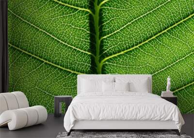 close up view of green plumeria leaf texture Wall mural