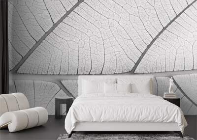 close up white leaf texture Wall mural