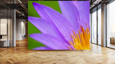 closeup pollen and petal of purple lotus Wall mural