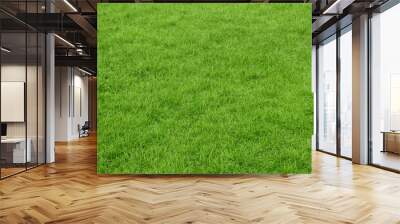 green grass background, lawn texture Wall mural