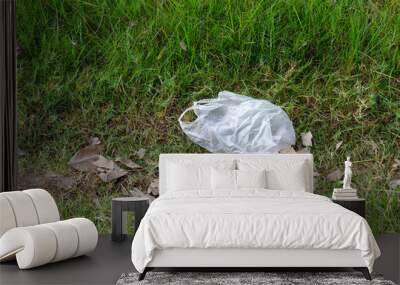 plastic bag on grass in the park Wall mural