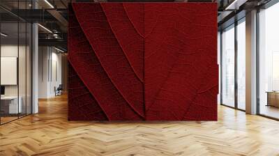 red leaf texture background ( teak leaf ) Wall mural