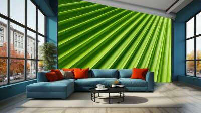 texture of green palm leaf with lines pattern Wall mural