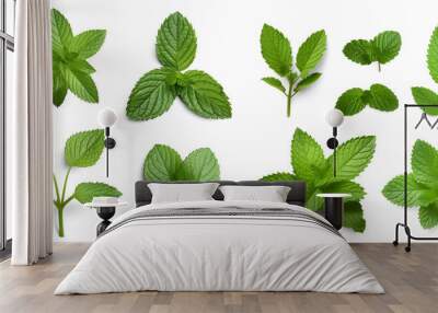 Assortment of aromatic mint leaves, and branches, with various arrangements against a transparent backdrop, ideal for culinary, beverage, herbal tea, or aromatic design elements. Generative AI Wall mural