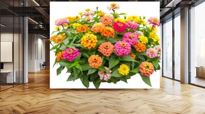 Colorful zinnia flower bed, bursting with blooms in shades of orange, pink, and yellow, perfect for a summer garden, isolated on transparent background Wall mural