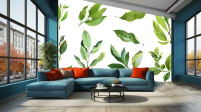 et of healthy herbs elements, Fresh bay leaf, isolated on transparent background Wall mural