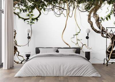 Jungle vines flowing on transparent background Wall mural