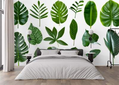 Natural of Beautiful Tropical green leaves of leaf isolated on transparent background. Wall mural