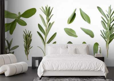 Rosemary, Sage Twig and Thyme - Farm Fresh Food and Healthy Diet Herbal Design Elements. Generative AI Wall mural