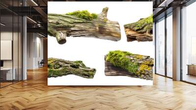 Set of fallen wooden trunks with green and yellow moss, showcasing the ecosystem's ability to reclaim and recycle Wall mural