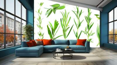 Set of healthy herbs elements, Fresh tarragon, isolated on transparent background Wall mural