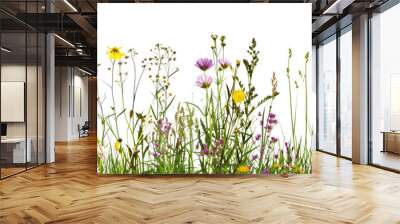 set of wildflower meadows, each bursting with native species from different regions, isolated on transparent background Wall mural