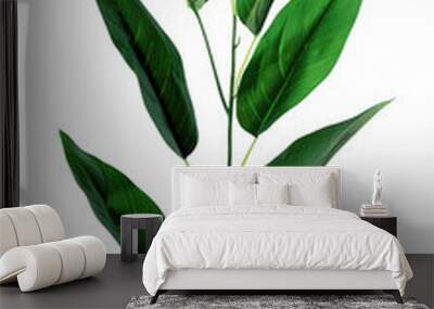 Tall Green Plant with Elongated Leaves Wall mural