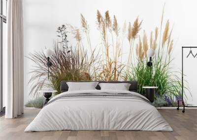 Tall ornamental grass bed featuring varieties such as feather reed and blue fescue, adding elegance and texture to garden landscapes, isolated on transparent background Wall mural