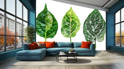 Variegated Green Leaves Wall mural