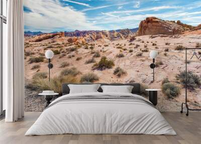 Rock desert, Nevada Wall mural