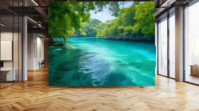 Clear turquoise water surrounded by lush greenery background Wall mural