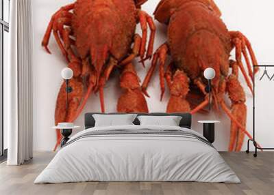 two crayfishes Wall mural