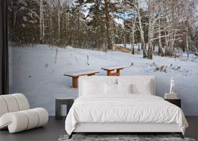 Two snow-covered benches in a winter park. The concept of winter loneliness. Wall mural