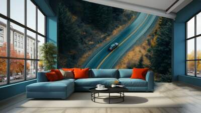 Aerial view of a vehicle in motion, forest road Wall mural