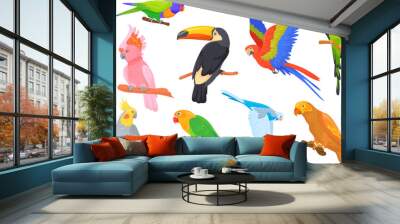 Exotic pretty parrots. Cartoon parrot of tropical brazil amazon jungle, hawaii island birds fly lorikeets cockatoos macaw sitting toucan with beak feathers neat vector illustration Wall mural