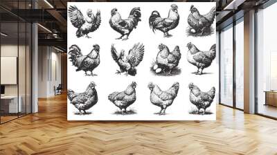 Hand drawn rooster and hen set. Engraving farm animal bird poses, chicken with eggs, poultry vector illustration Wall mural