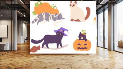 Kitten in halloween costumes. Cats in hats costume autumn holiday party of dead, funny pet skeletons black kitty sorceress or witch animal with broom, garish vector illustration Wall mural