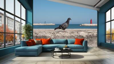 dove pigeon, Italy Wall mural