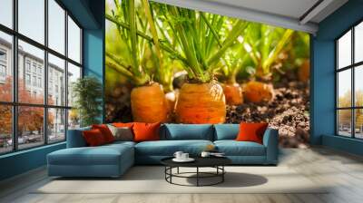 Fresh carrots growing in soil close up Wall mural