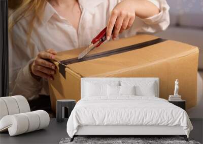 girl unpacks a parcel with a stationery knife, unpacking a cardboard box, online shipping, parcel delivery service Wall mural