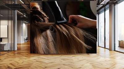 hairdresser drying hair with hair dryer and comb in beauty salon, drying hair close-up Wall mural